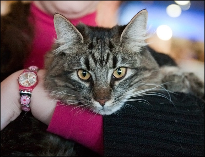 Esénée Durandal 4.jpg - Esénée Durandal